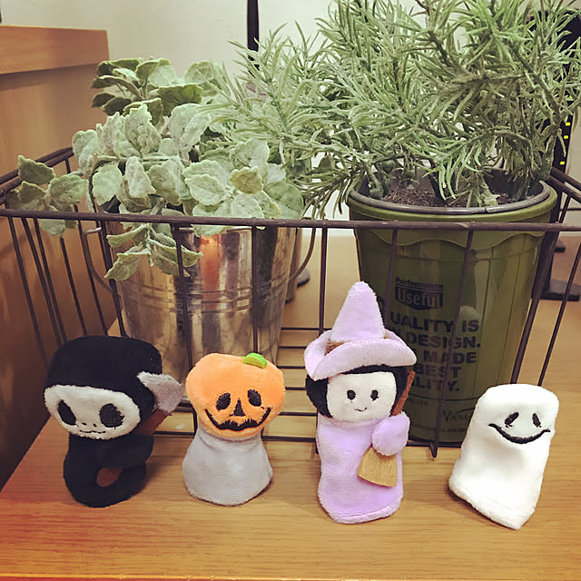 Junkoさんの実例写真