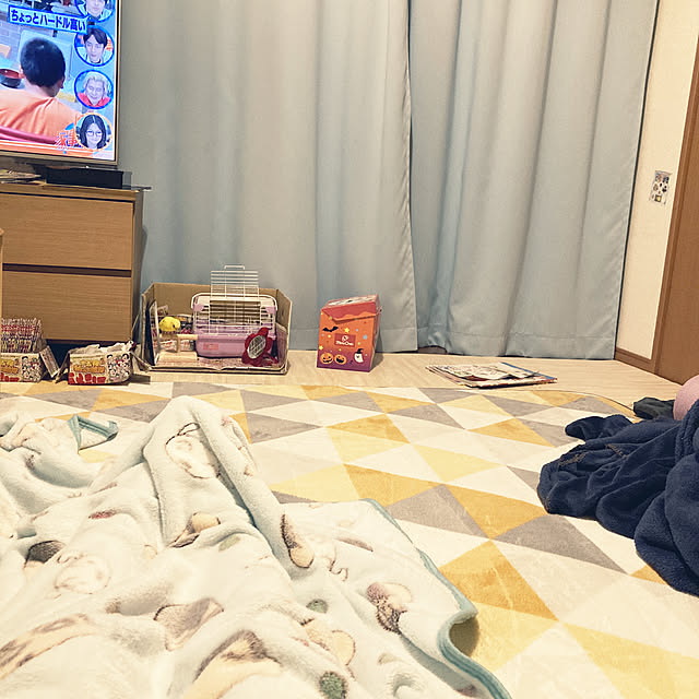 chappさんの実例写真