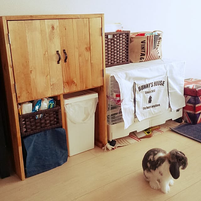 _rant_3_0_さんの実例写真