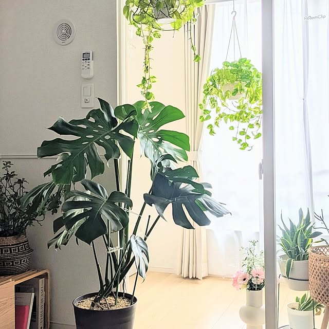 kumiさんの部屋