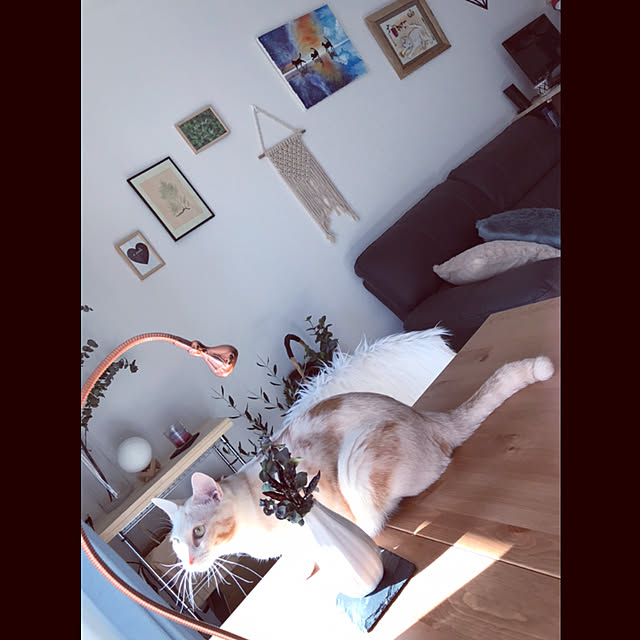 Hinaさんの実例写真