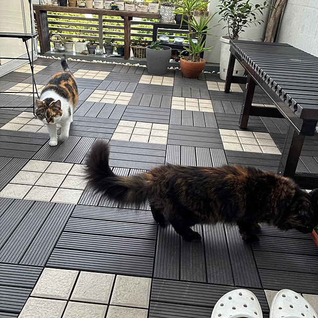 tomotomoさんの実例写真