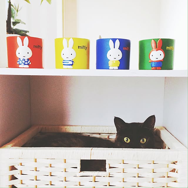 Lunaさんの実例写真