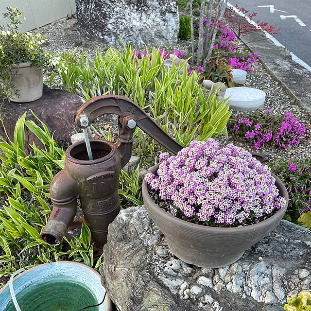 shin0719さんの実例写真