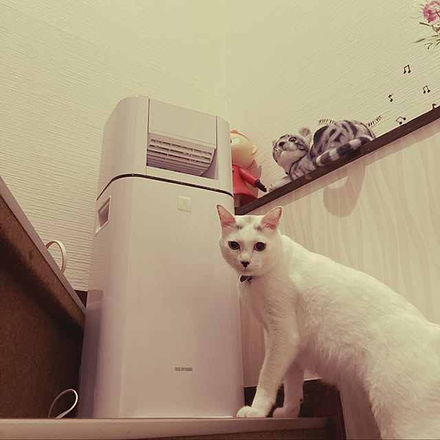 momiji0423さんの実例写真