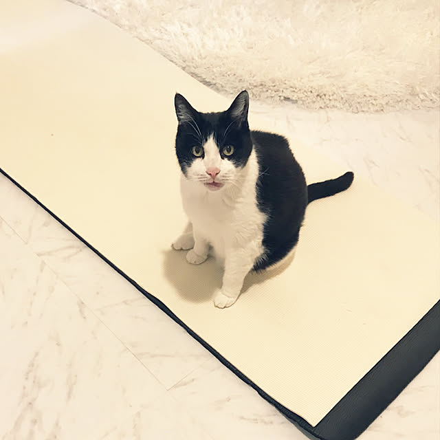 gingerwynksさんの実例写真