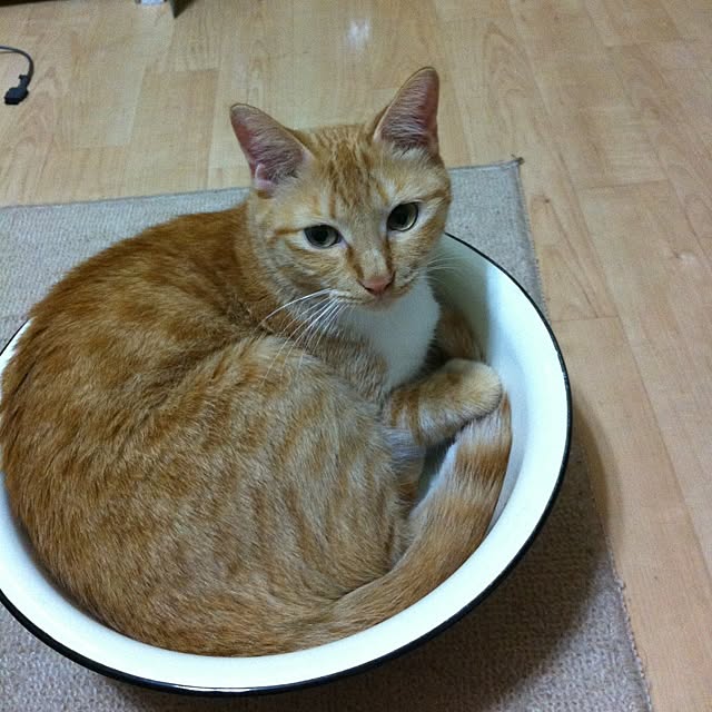 Yasumiさんの実例写真