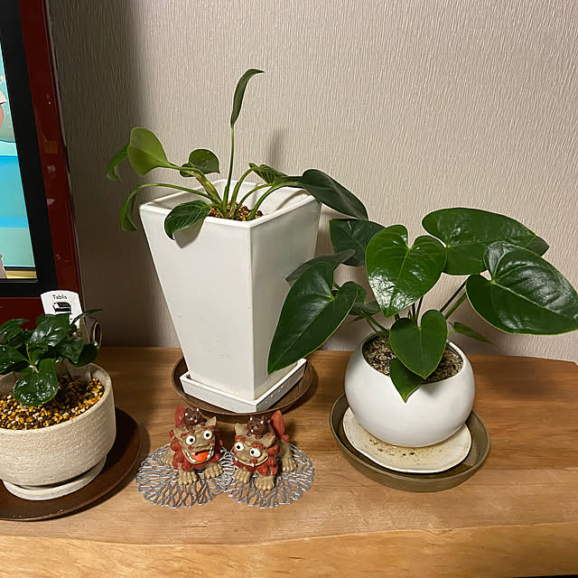 ayumiさんの部屋