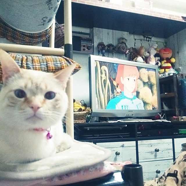 mntcさんの実例写真