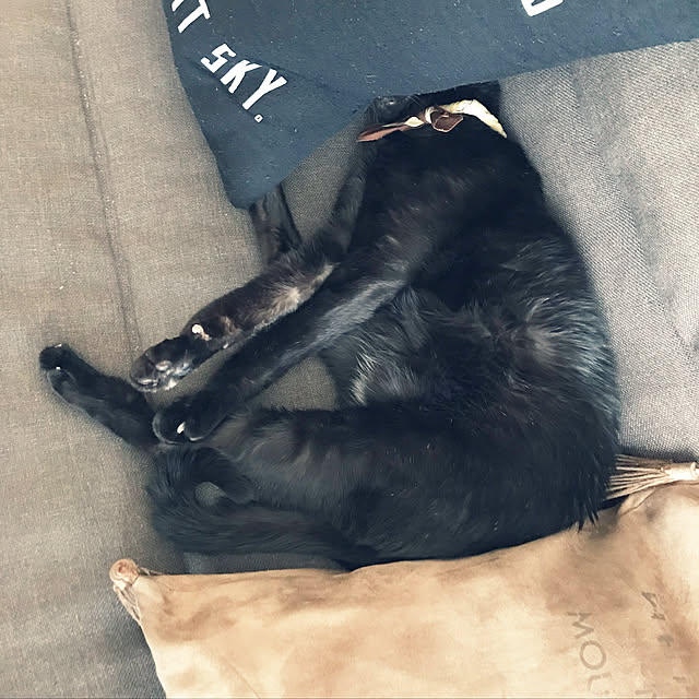 minmiさんの実例写真