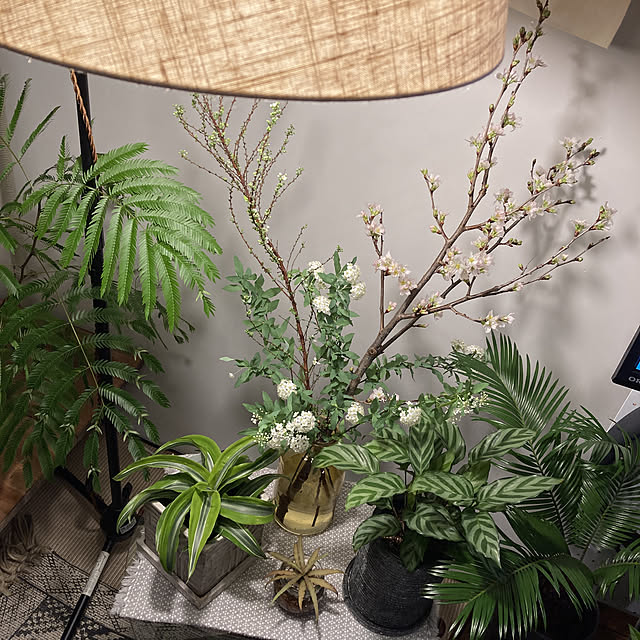 s.p.sunaoさんの実例写真
