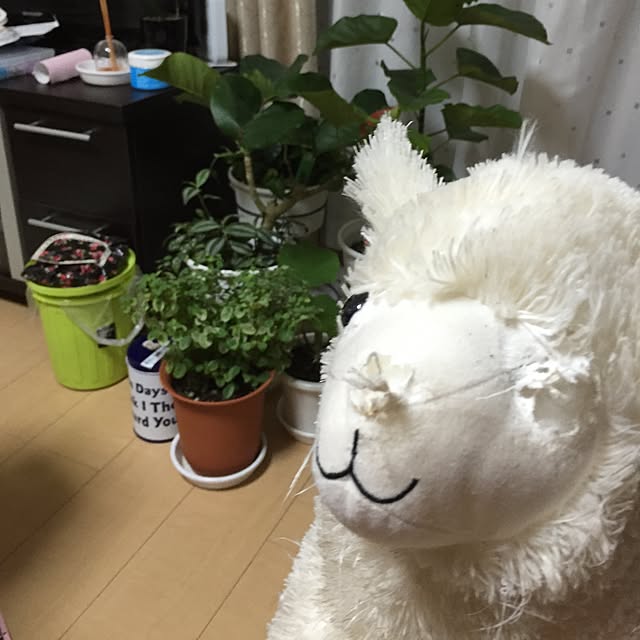 emiさんの実例写真