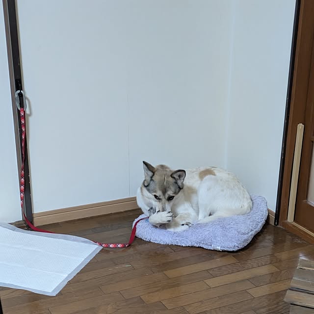 asaさんの部屋