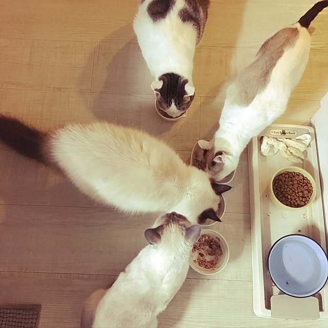 niko-25さんの実例写真