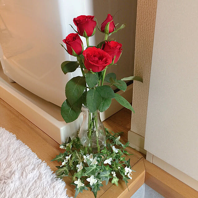 RanRanさんの実例写真