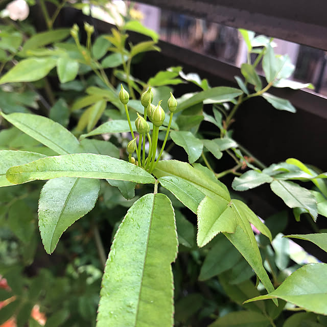 CoffeeHouseさんの部屋