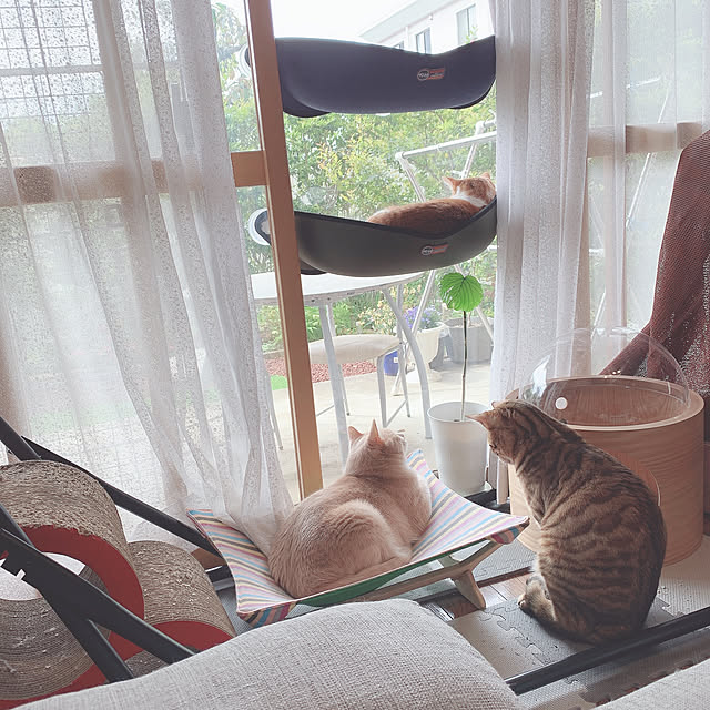 Tomoeさんの実例写真