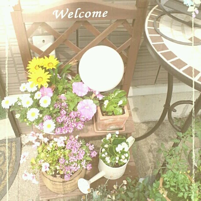 cocoaさんの実例写真