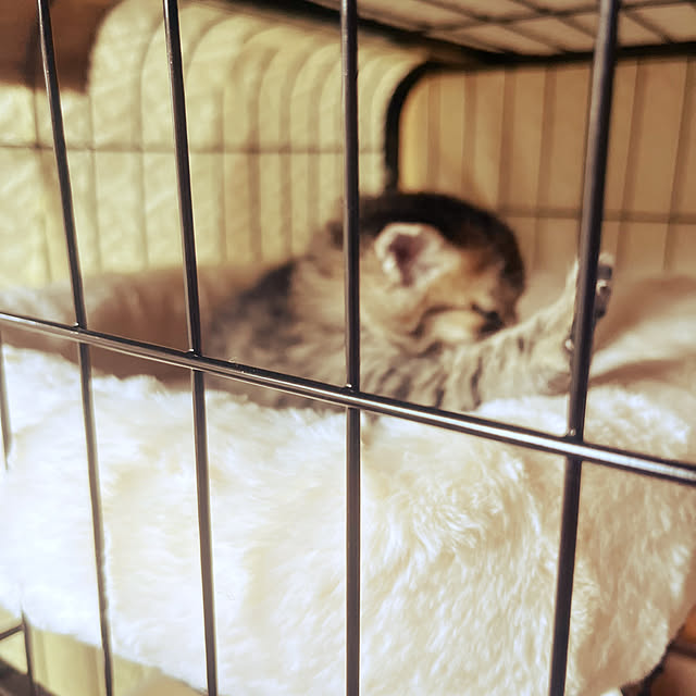 Mさんの部屋