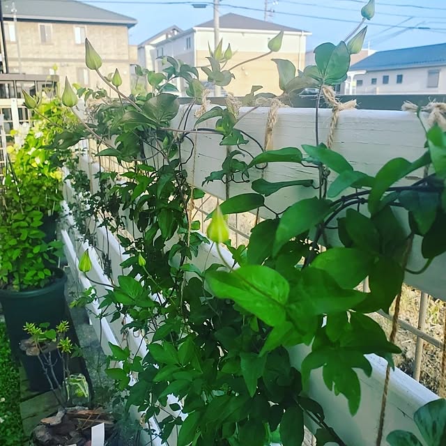 sayaさんの実例写真