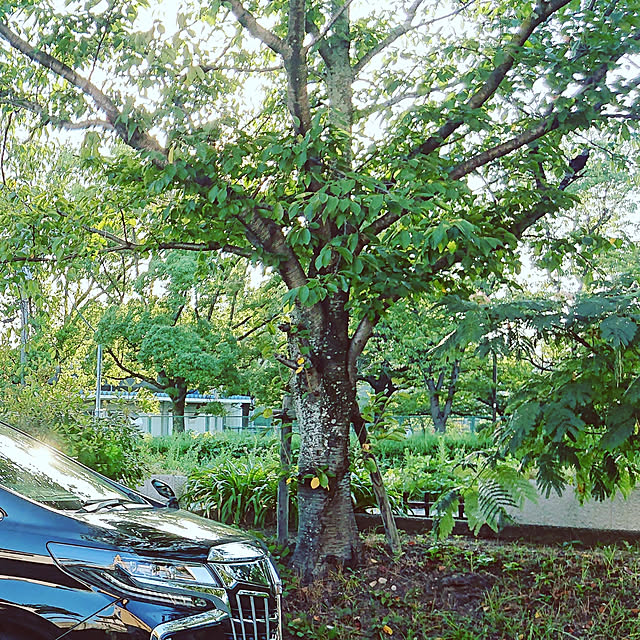 jun_aoさんの実例写真