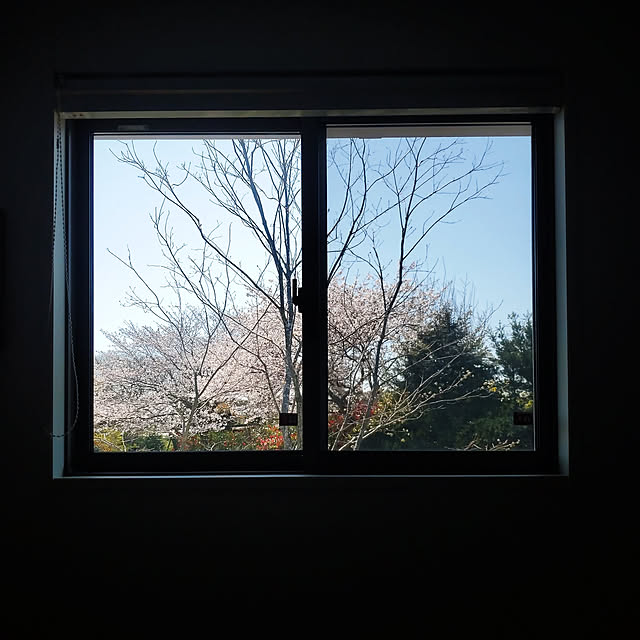 Saranさんの実例写真