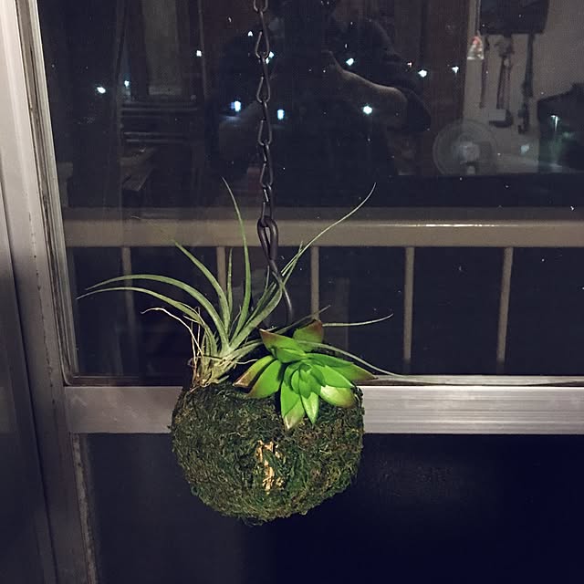 sansankikiさんの実例写真