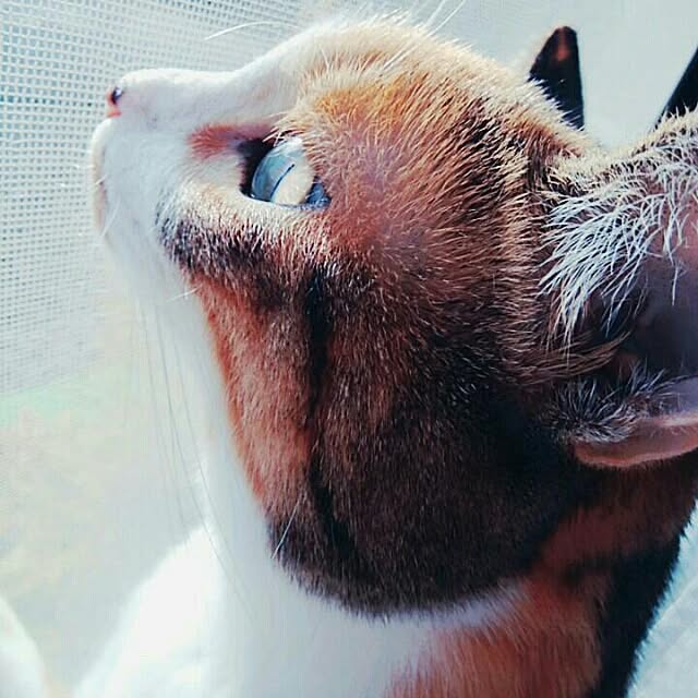 taleo07さんの実例写真