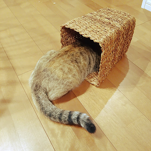 mamekoさんの実例写真