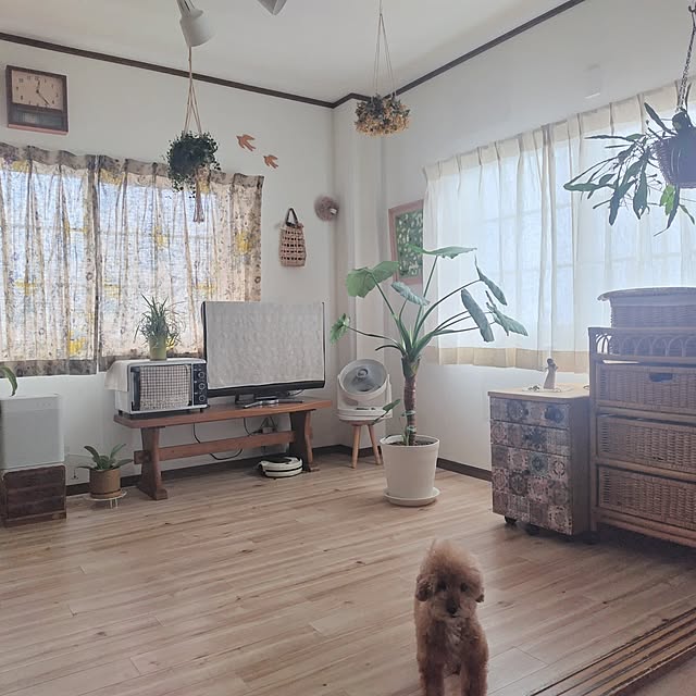 santamamaさんの部屋