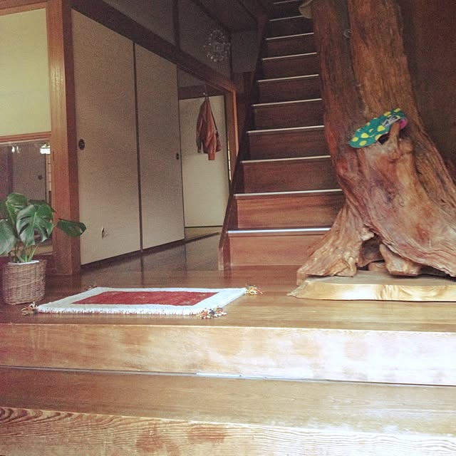 noriponさんの実例写真