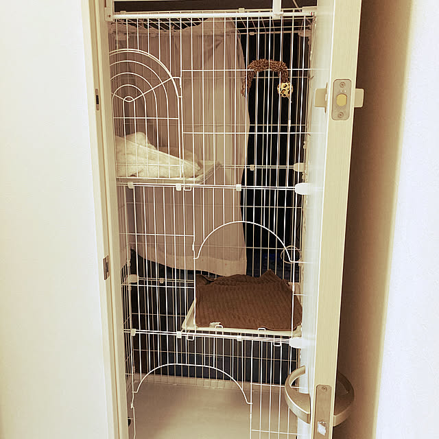soraさんの実例写真