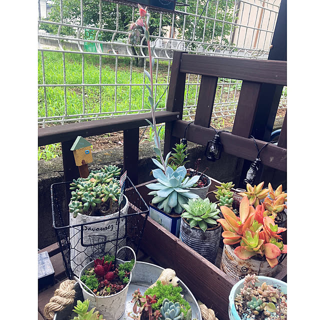 CoCo0617さんの部屋