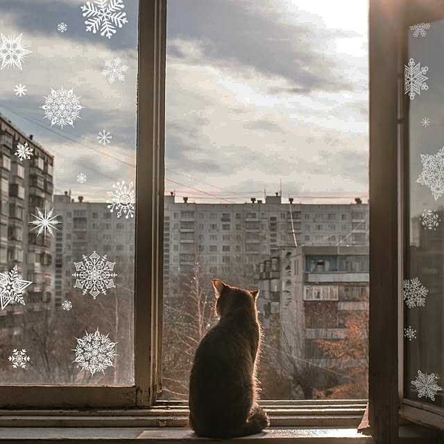 SquareWallstickerさんの部屋