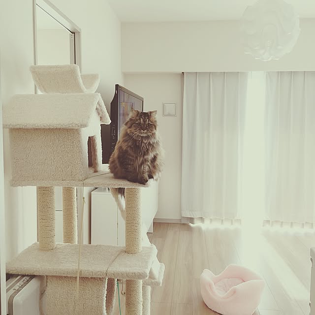musicsukiさんの実例写真