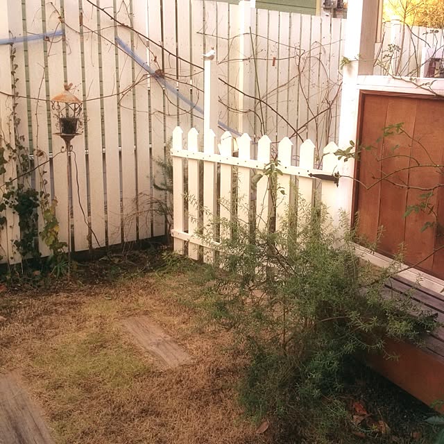 cinnamonさんの実例写真