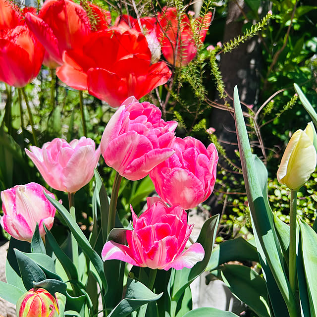 sunabaさんの実例写真