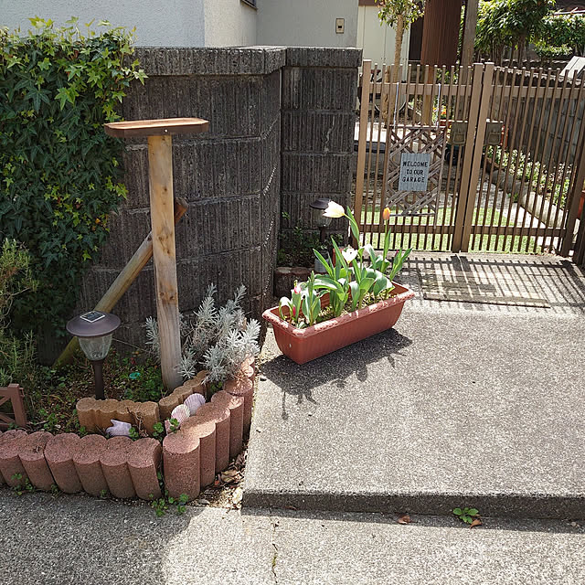 fukuさんの実例写真