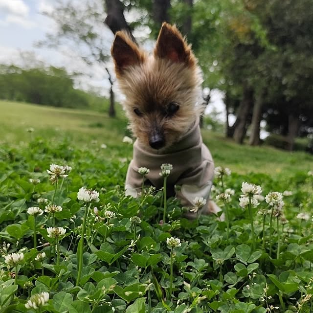 coco0.84.さんの部屋