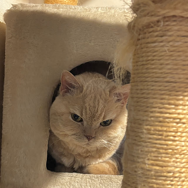 naokoさんの部屋