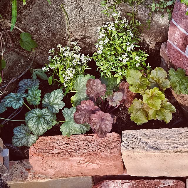 mocomocoさんの部屋