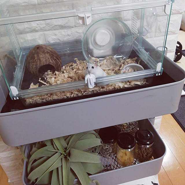 G.Mさんの実例写真