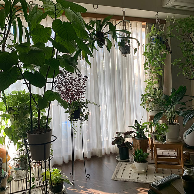 Aqettyさんの部屋
