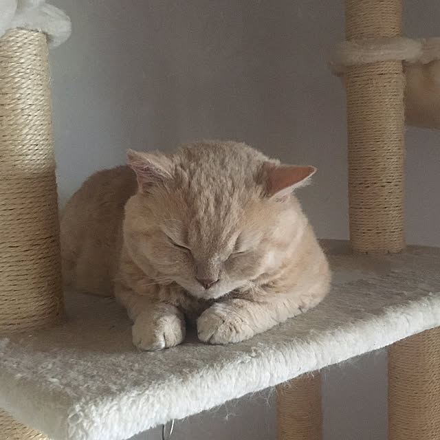 naokoさんの部屋