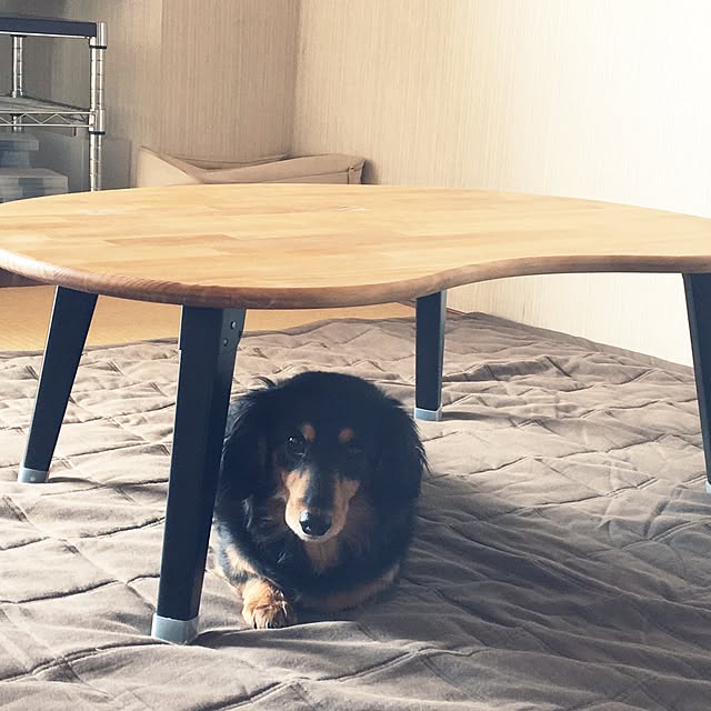 ohanaさんの実例写真