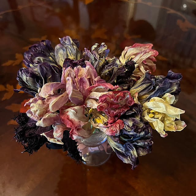 AYUKOさんの部屋