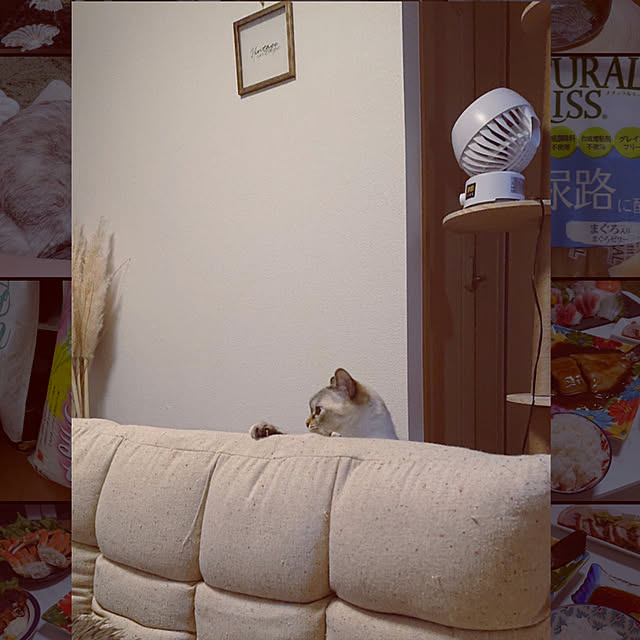 Ny77Coronさんの実例写真