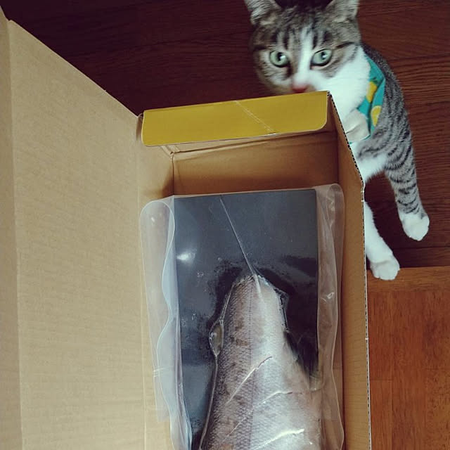 sakai0531cさんの実例写真