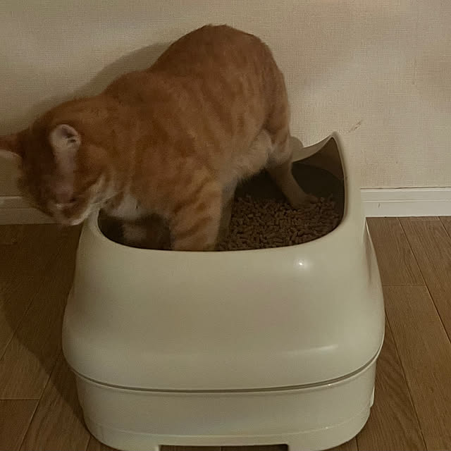 SIMPLEさんの部屋