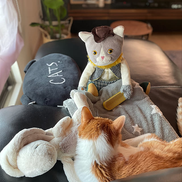 miruさんの実例写真